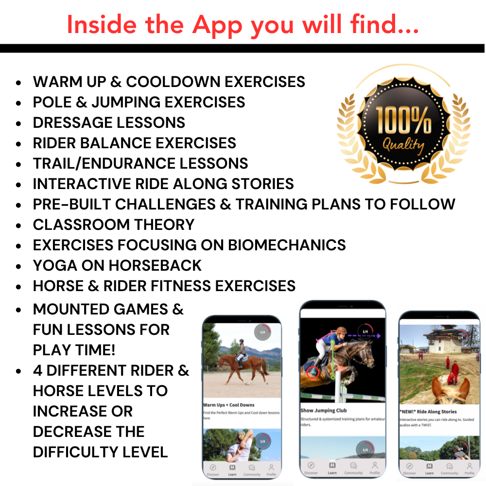 Ride Along Podcast Complete Audio Lessons Bundle (Complete App Access with 200+ Lessons)