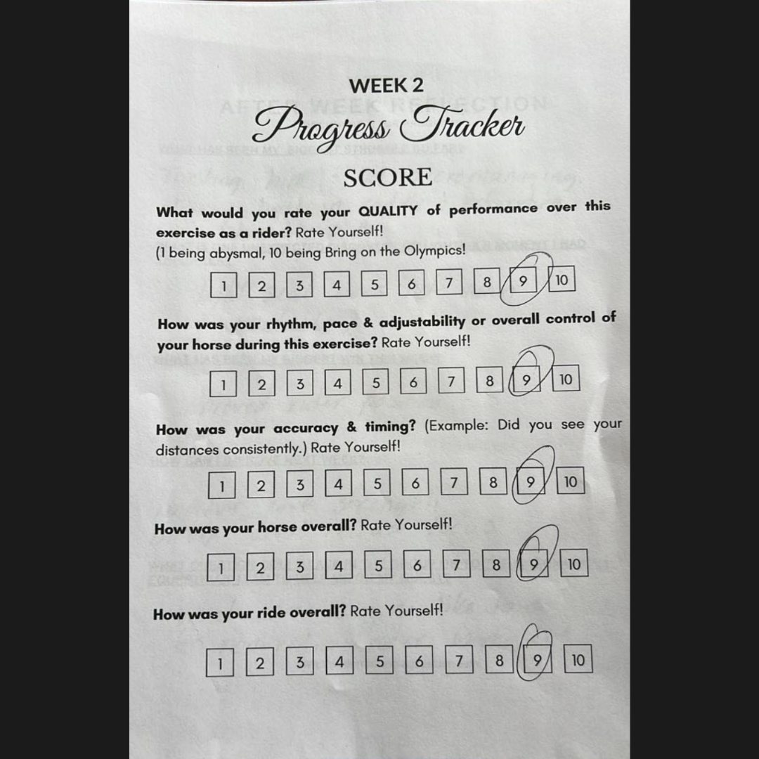 10 Months of Training Plans: Dressage Printable Digital PDF Bundle