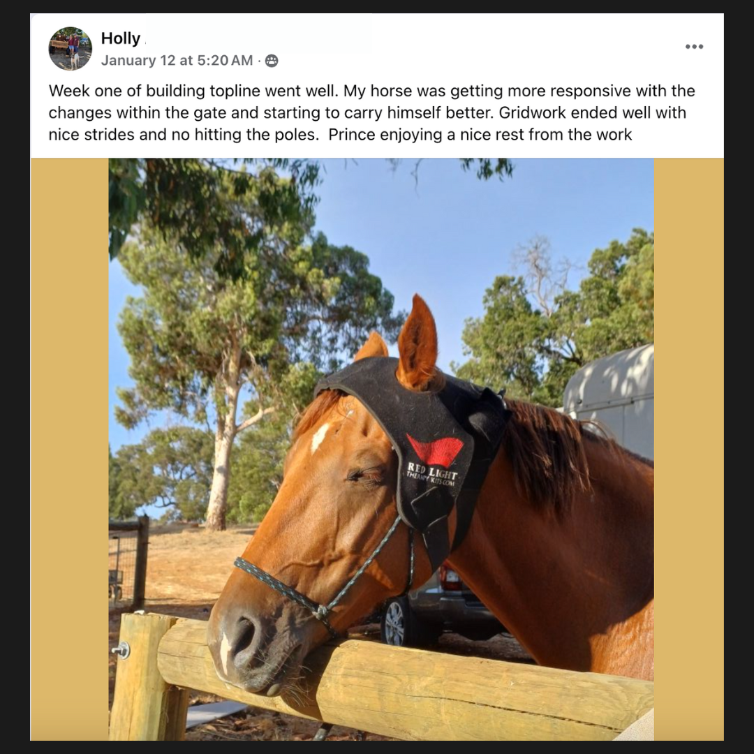 10 Months of Training Plans: Dressage Printable Digital PDF Bundle
