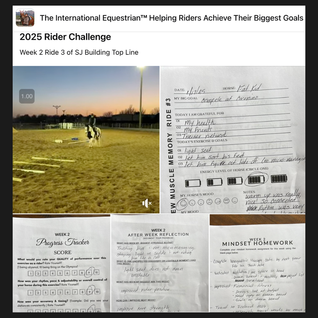 10 Months of Training Plans: Dressage Printable Digital PDF Bundle