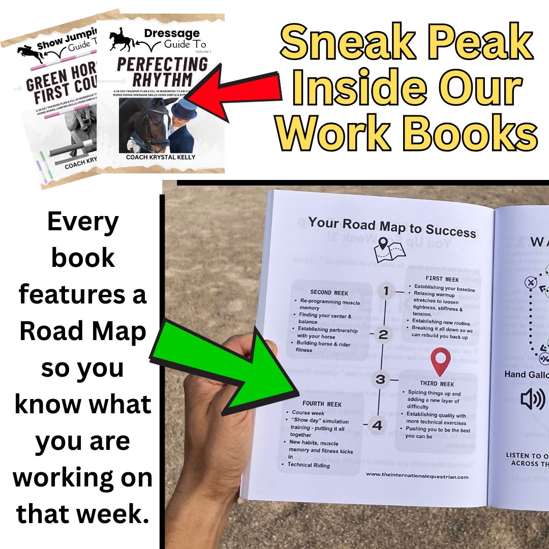 10 Months of Training Plans: Dressage Printable Digital PDF Bundle