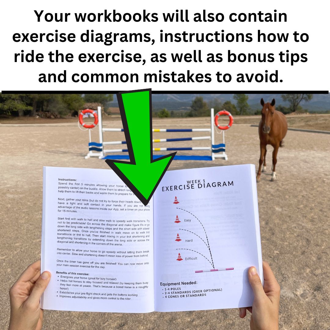 10 Months of Training Plans: Dressage Printable Digital PDF Bundle