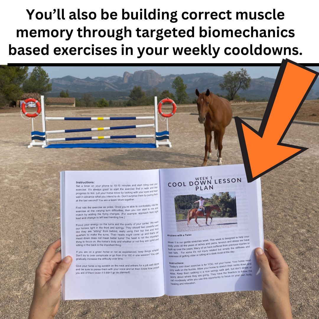 10 Months of Training Plans: Dressage Printable Digital PDF Bundle