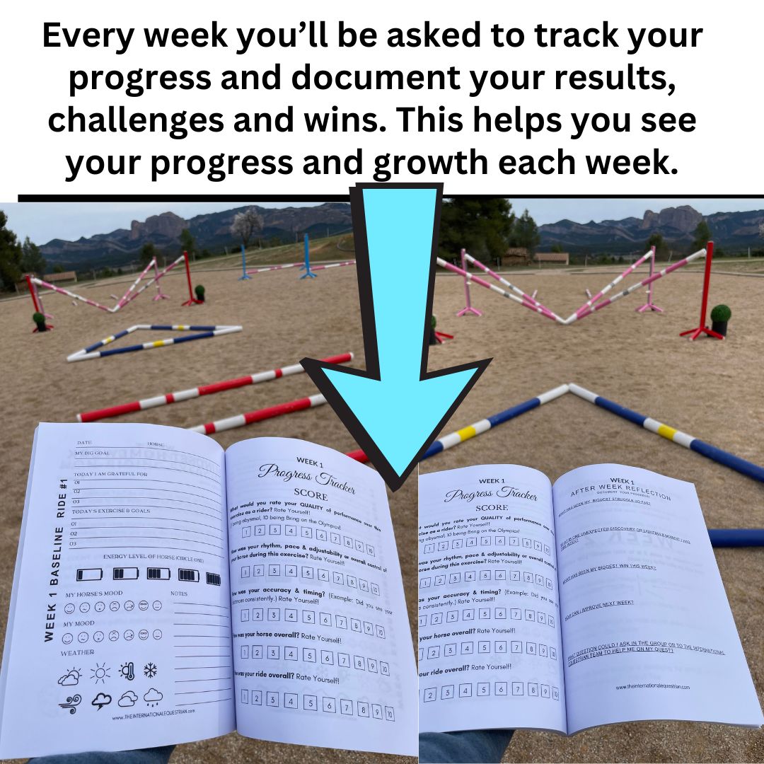 10 Months of Training Plans: Dressage Printable Digital PDF Bundle