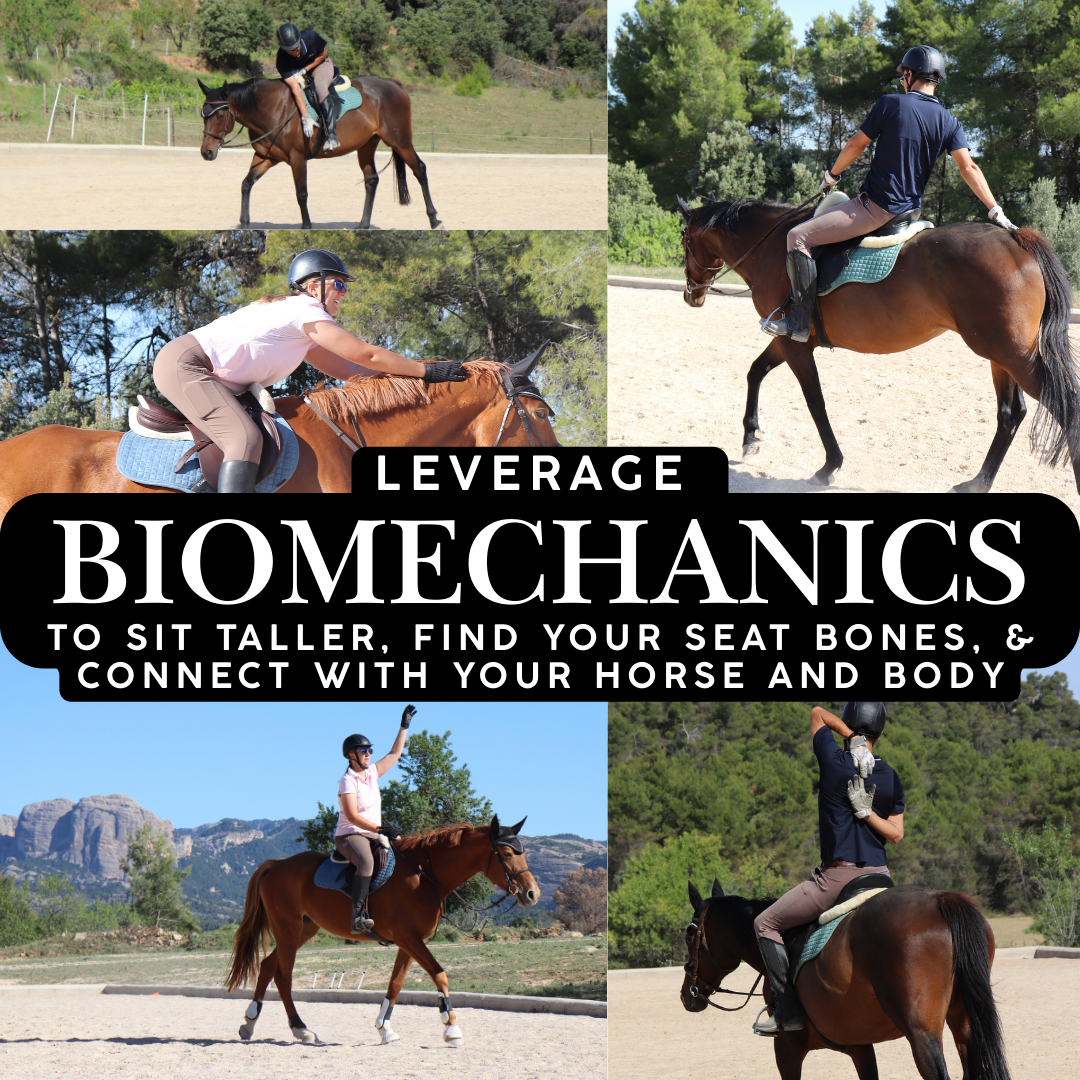 Leverage Biomechanics To Connect With Your Horse And Body