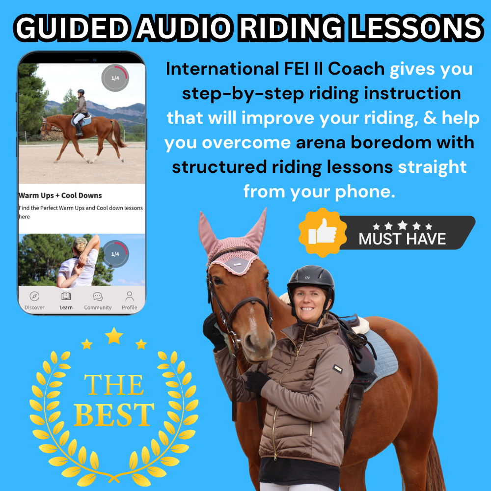 Complete Guided Audio Lessons Bundle (200+ Audios)