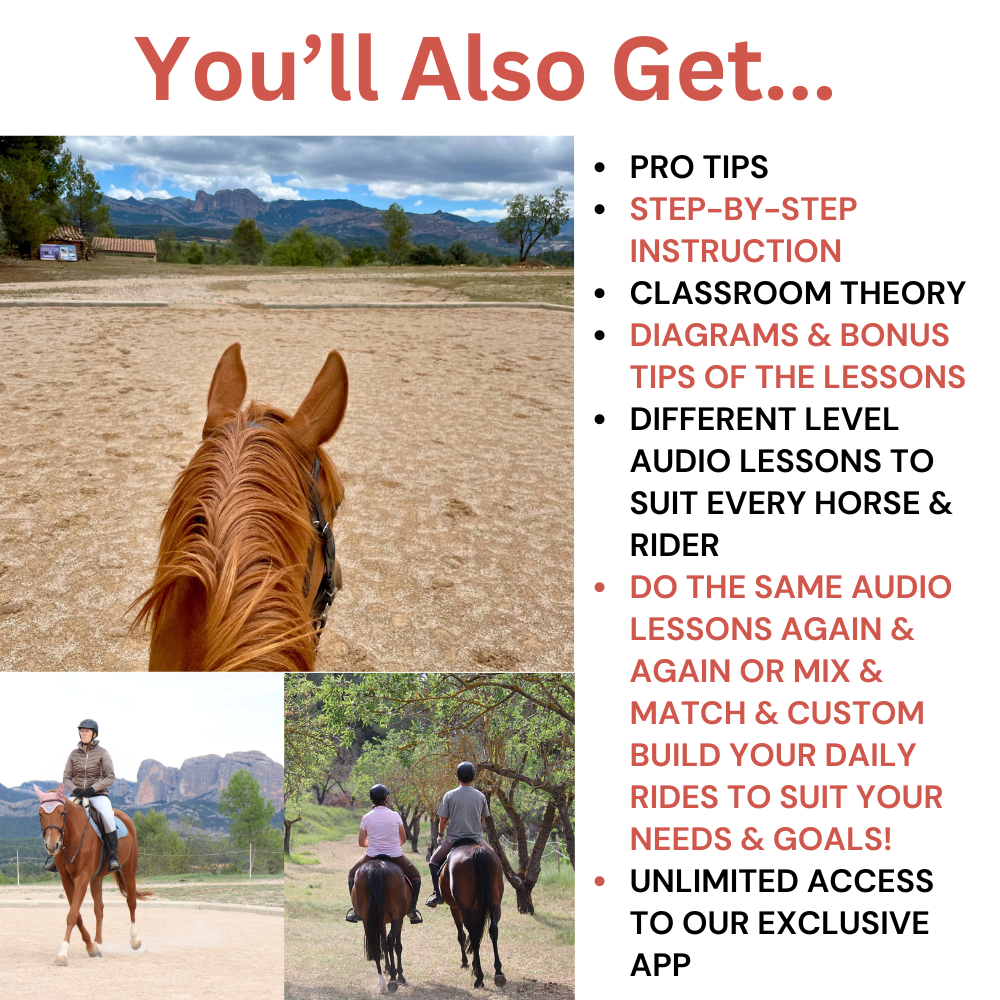 Complete Guided Audio Lessons Bundle (200+ Audios)