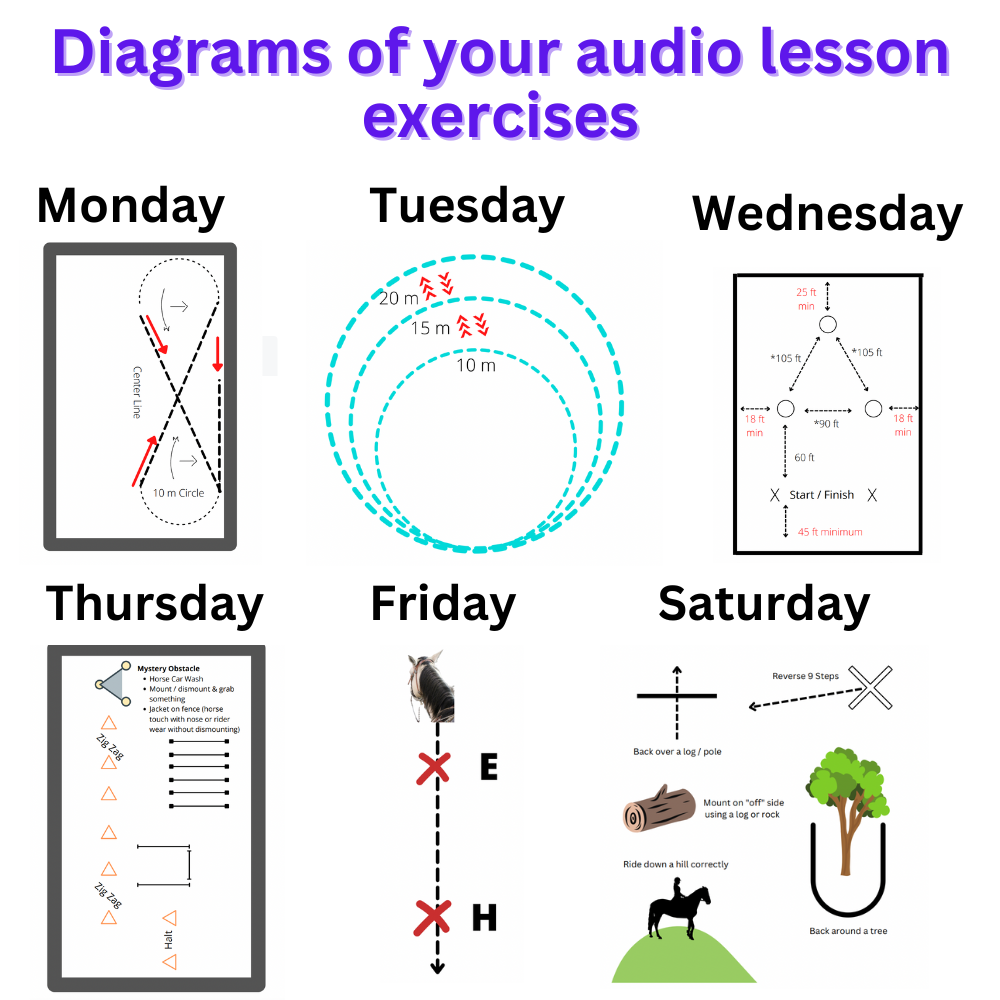 Complete Guided Audio Lessons Bundle (200+ Audios)