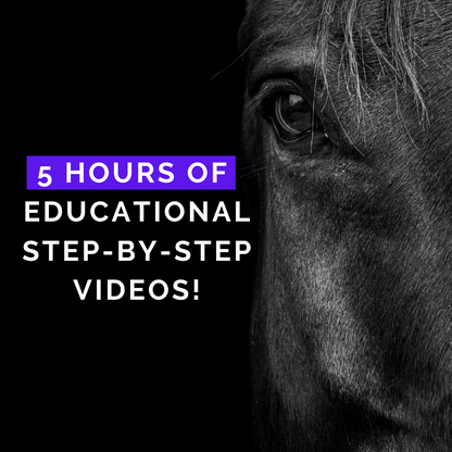 Start & Grow Your Equestrian Business: Online Course