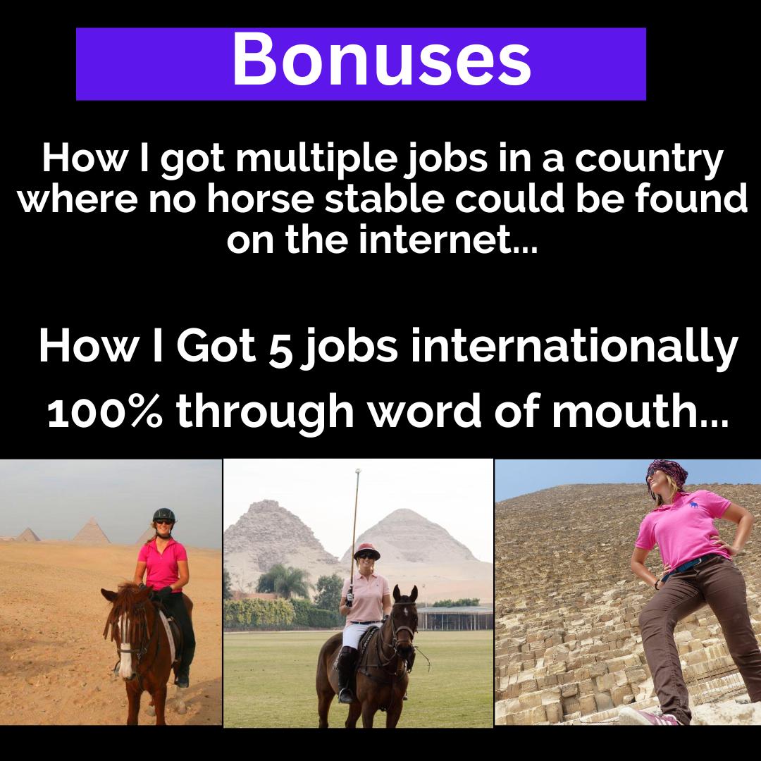 Ultimate Business Bundle for Equestrians (2 Books + Full Online Video Course)