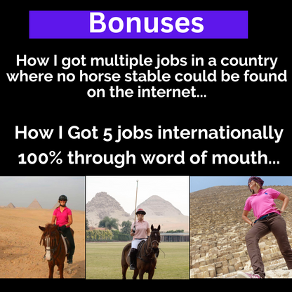 Start & Grow Your Equestrian Business: Online Course