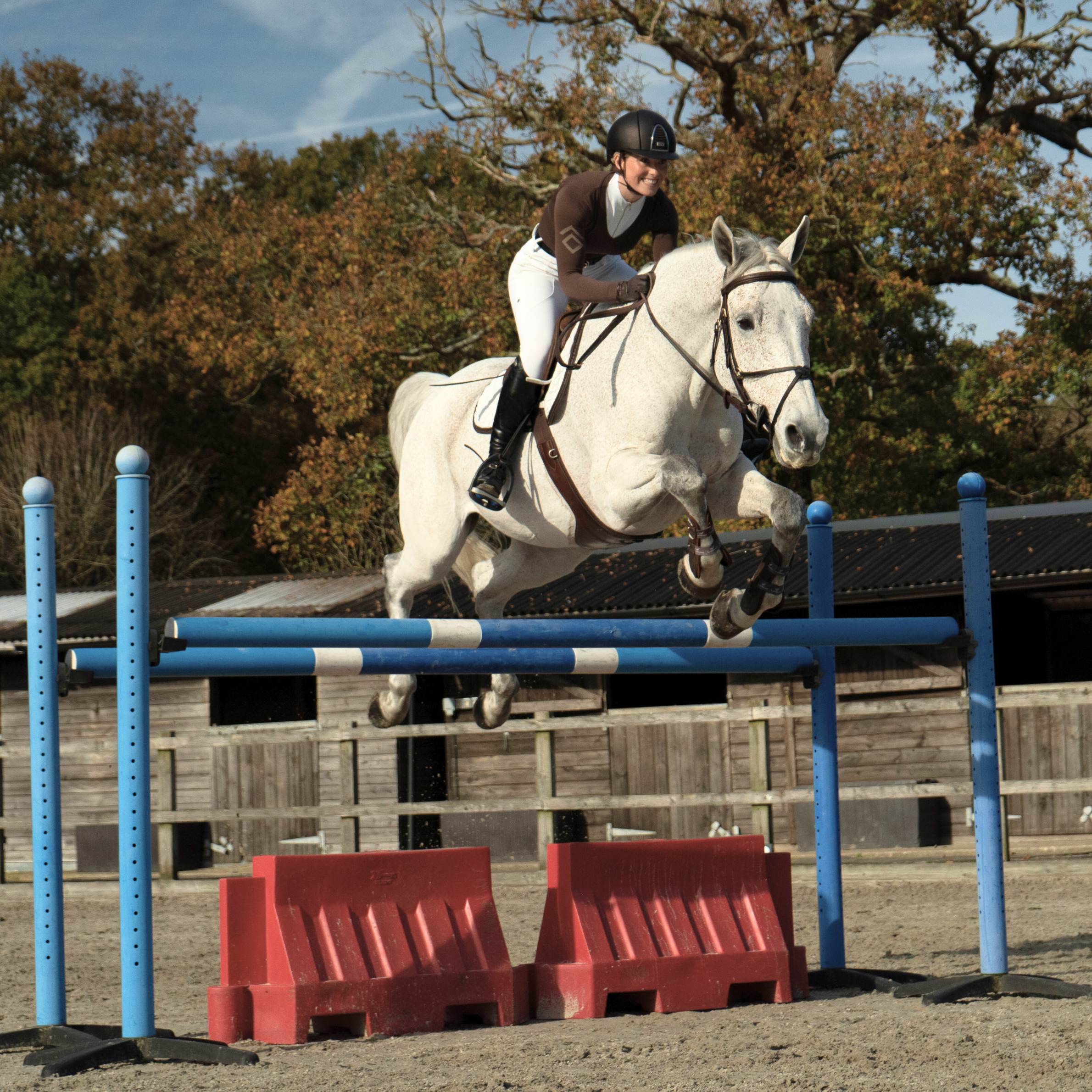 Show Jumping Guide to Jumping Bigger (Vol. 23)