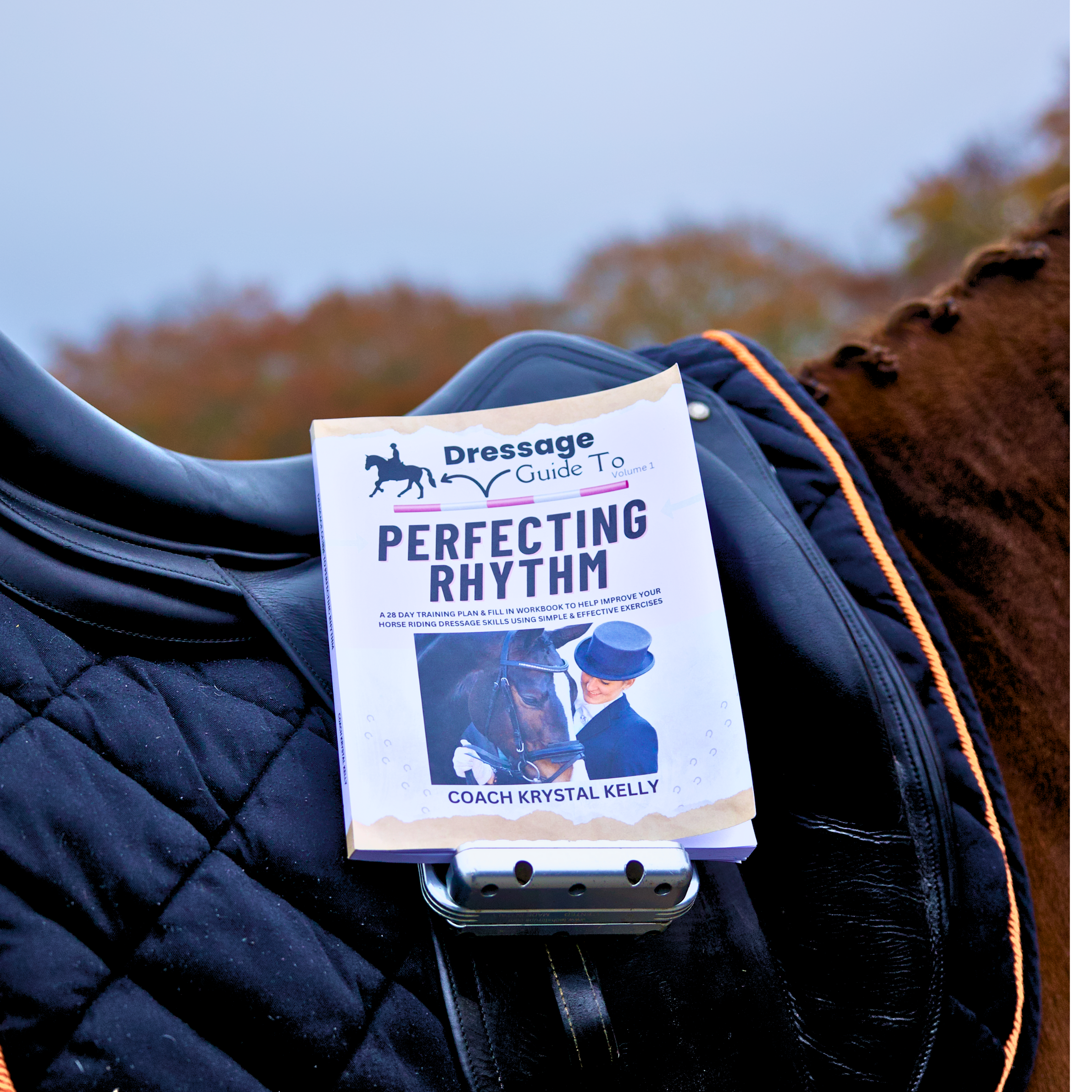 Dressage Guide To Perfecting Rythm Volume 1  Paperback