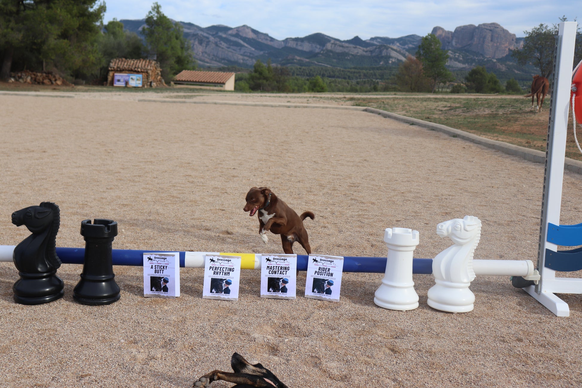 Dressage Guide Training Books By FEI II Coach Krystal Kelly 2