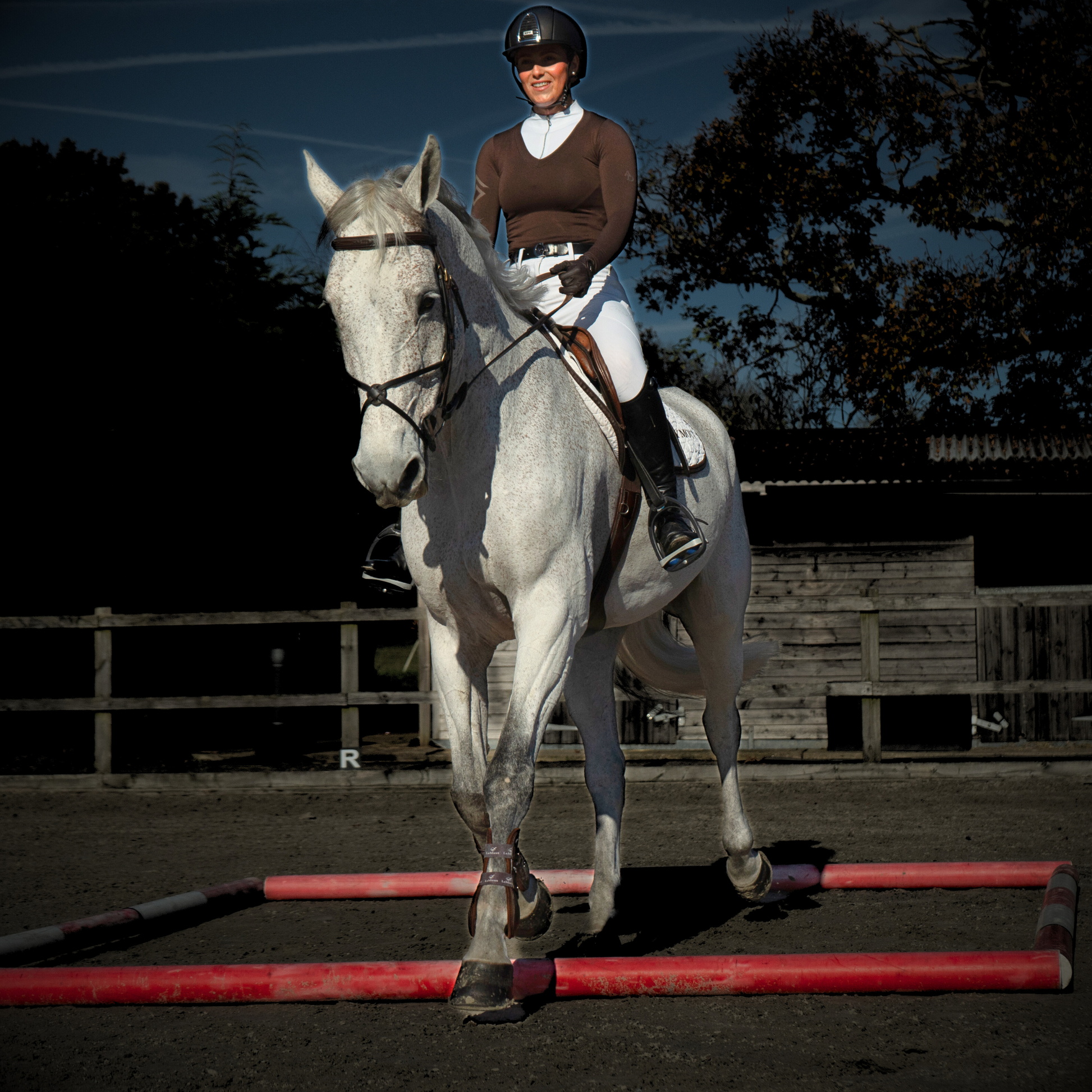 Equestrian rider guiding horse over red ground poles during dressage training exercise.