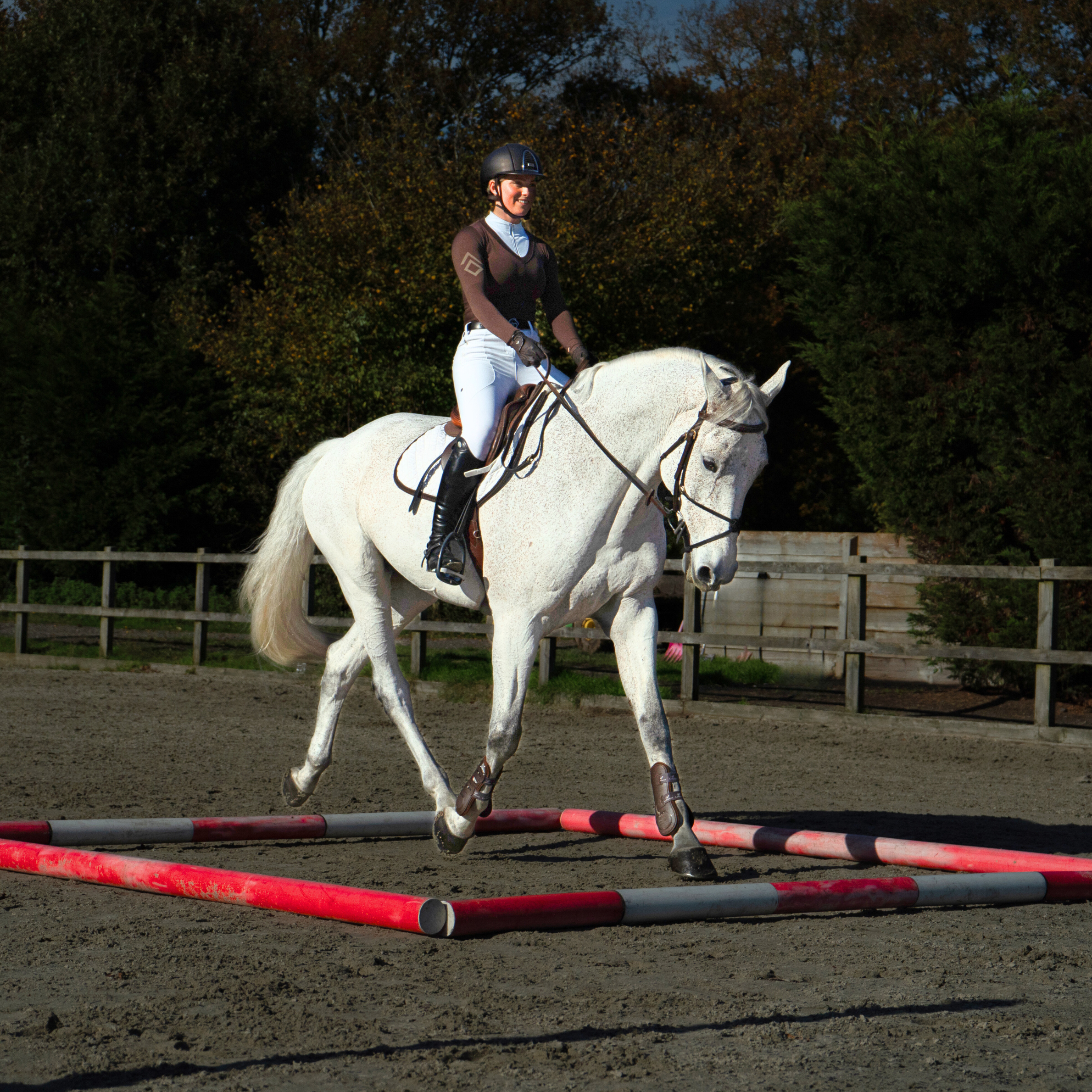 A woman in equestrian gear rides a white horse over ground poles in an outdoor riding arena