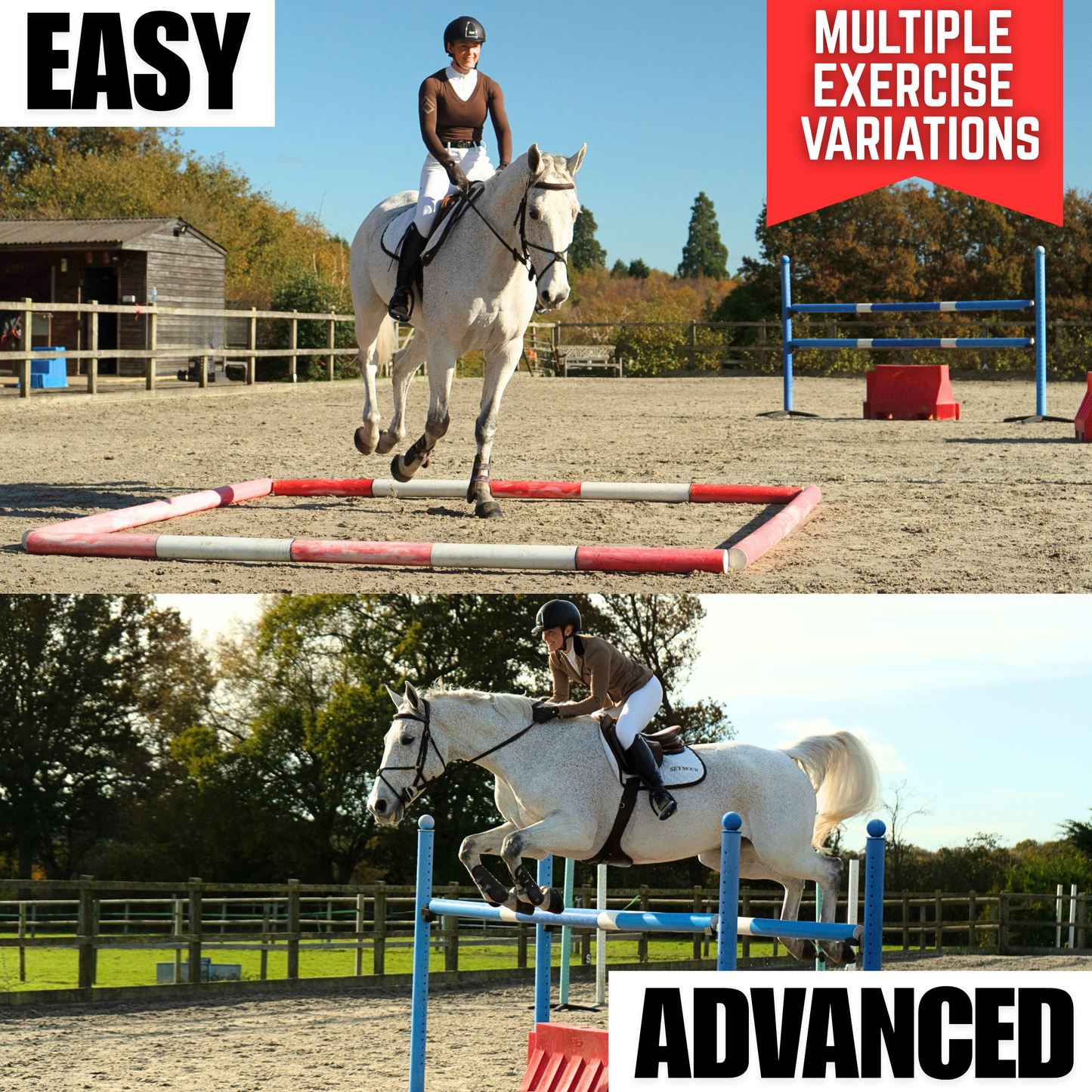 Rider practicing easy and advanced horse jumping exercises