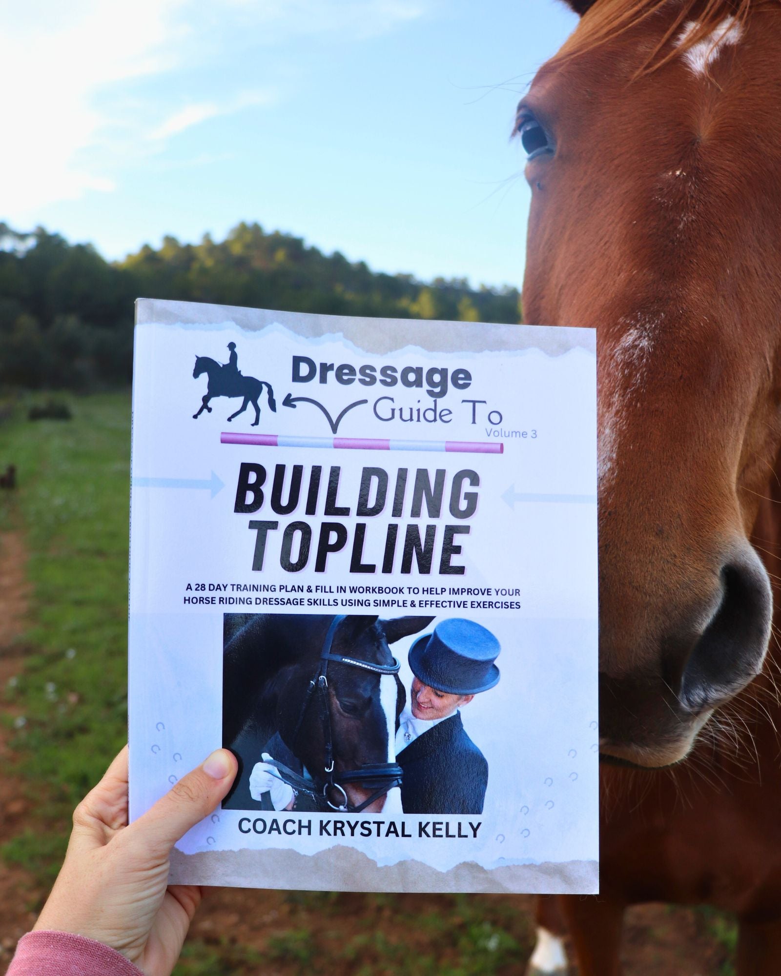 exercises to build horse topline muscles