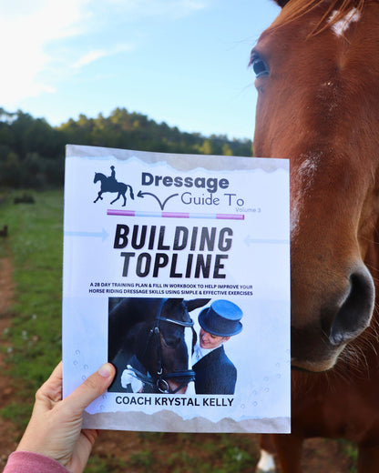 exercises to build horse topline muscles