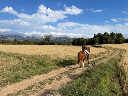 VIP Inner Circle Complete Online Course: For Jumpers, Dressage & Endurance/Trail riders of all levels!