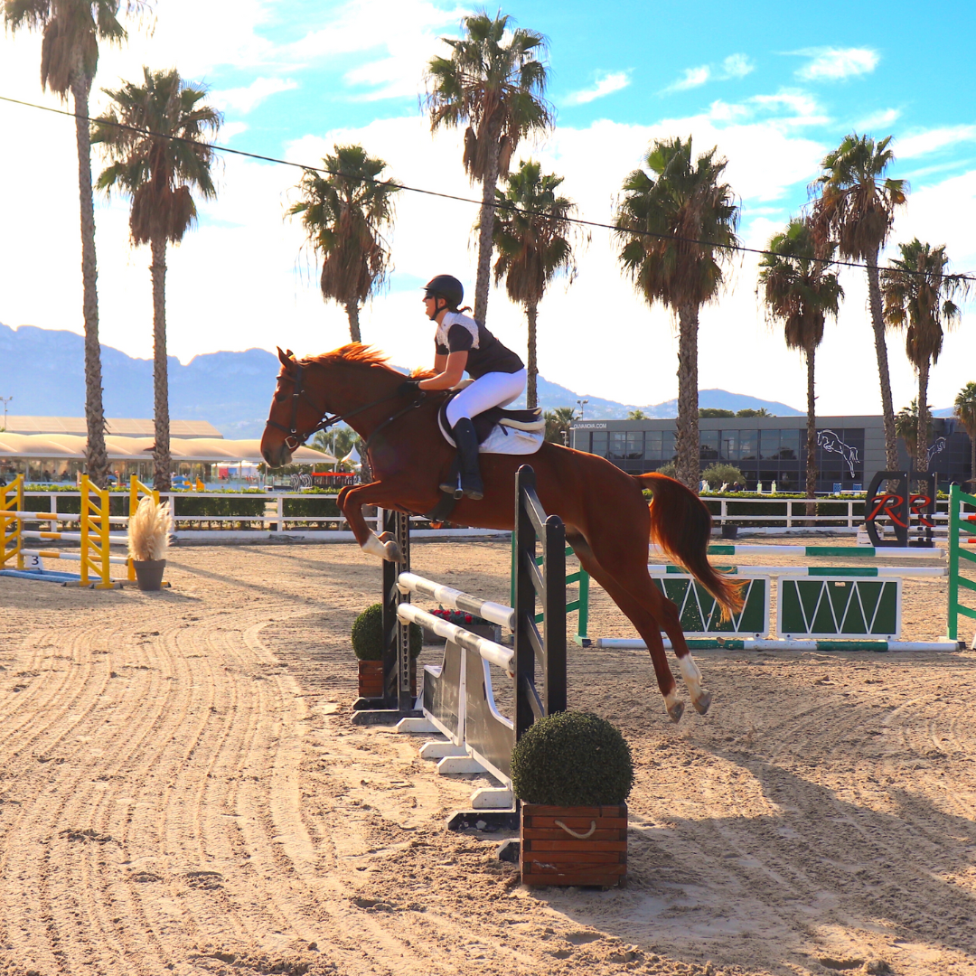 Prepare your horse for jumping competitions with confidence!