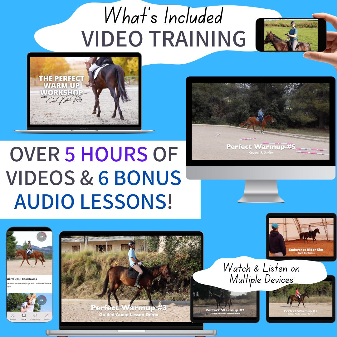 The Perfect Warmup Online Course