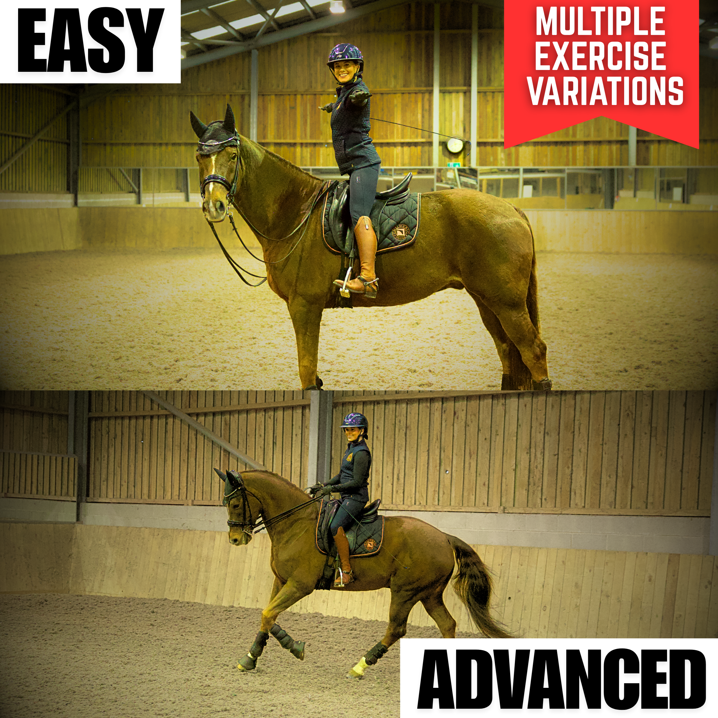 Multiple Horse Riding Exercises From Easy To Advanced