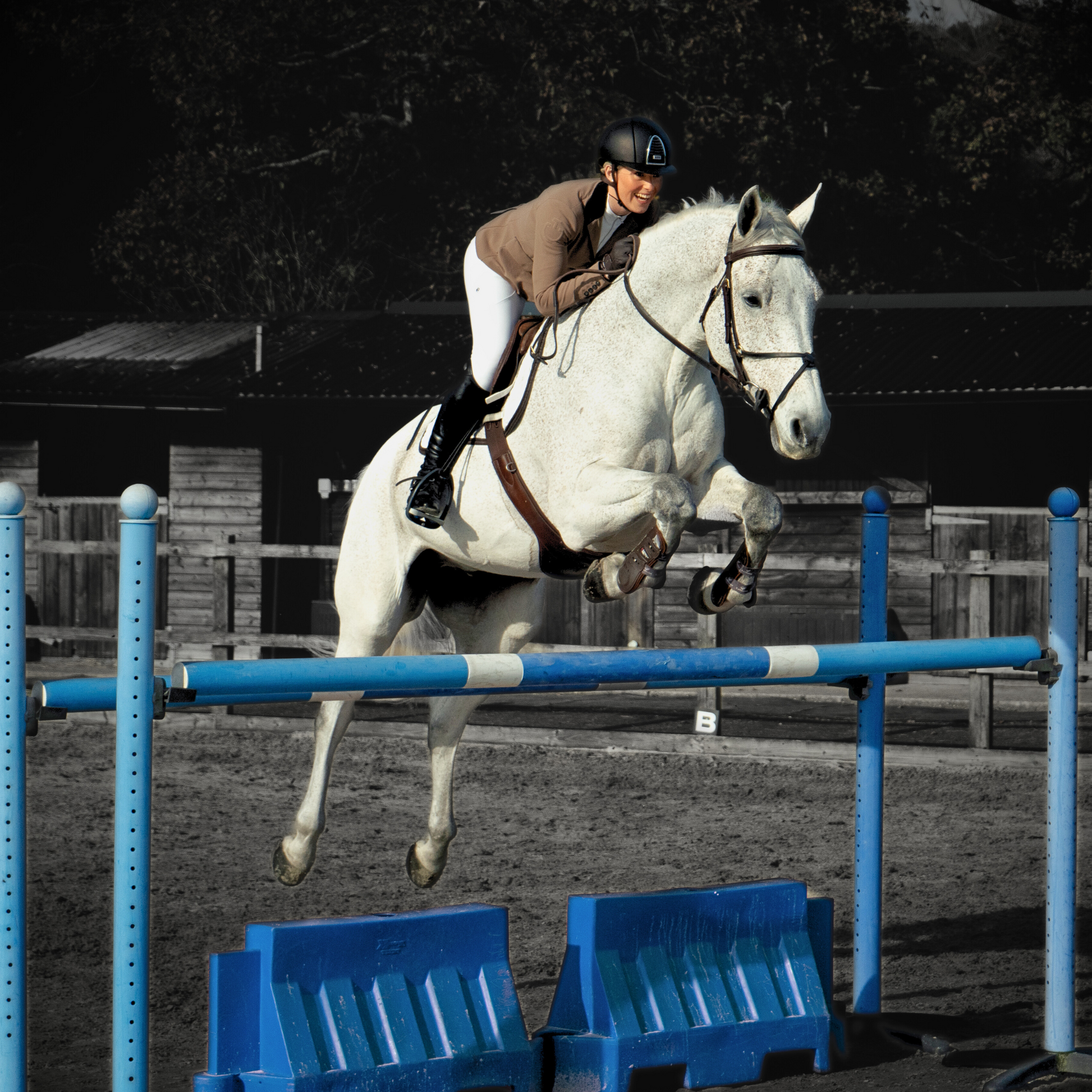 Equestrian horse rider in show attire guides a white horse over jump pole