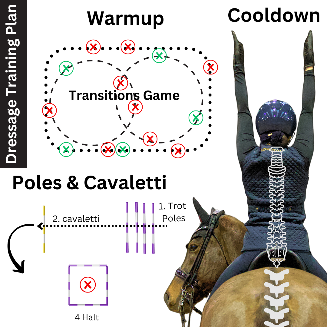 Polework Exercises for Horses