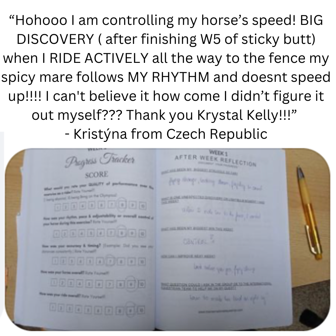 Review Of Our 90 Day Training Book Plan