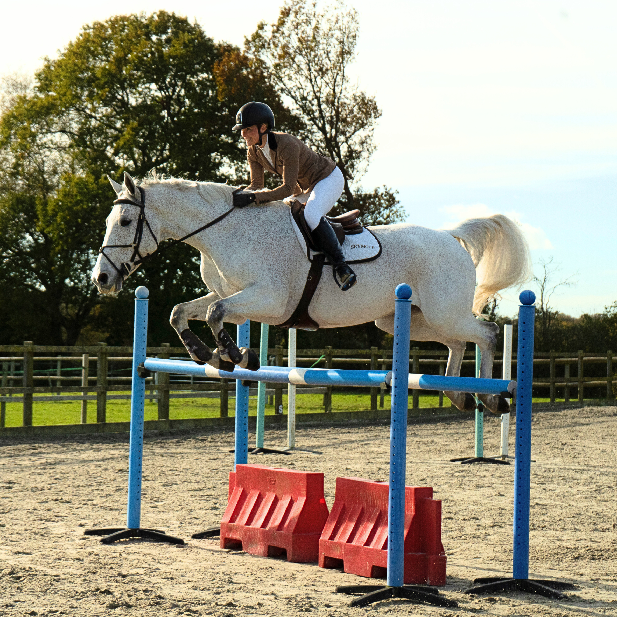 Rider Guiding A Horse Over A Vertical Fence