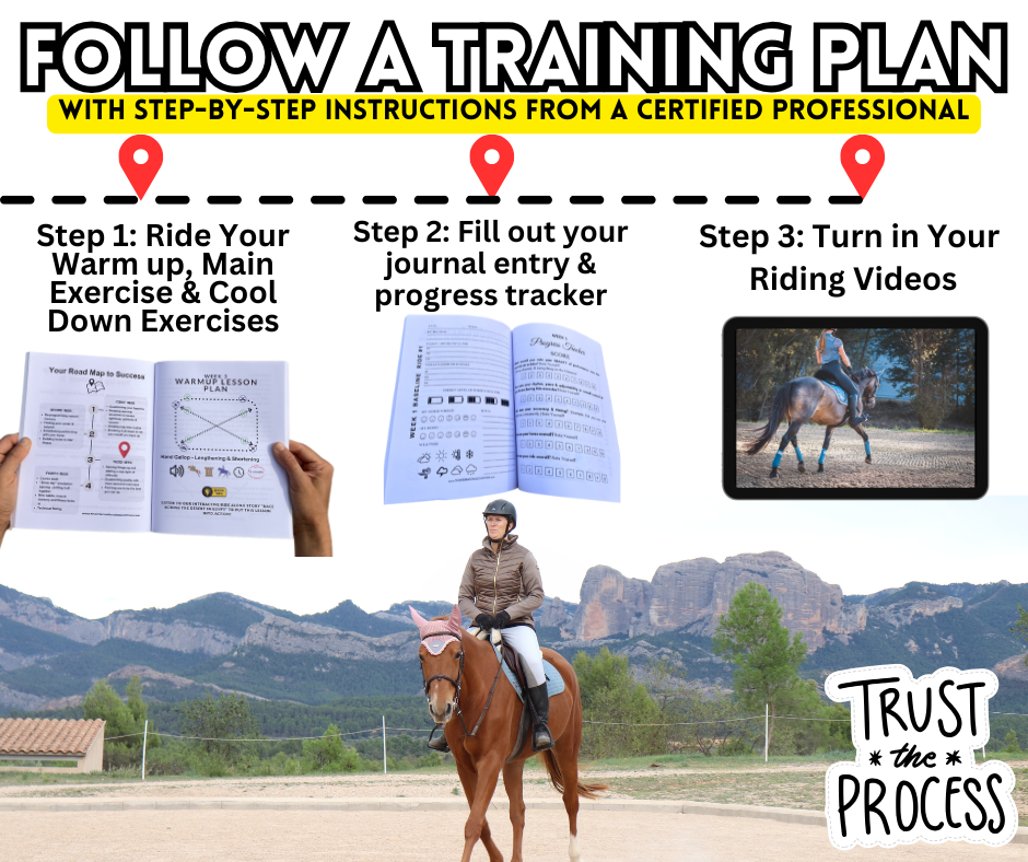 Step By Step Instructions From FEI II Coach, Krystal Kelly