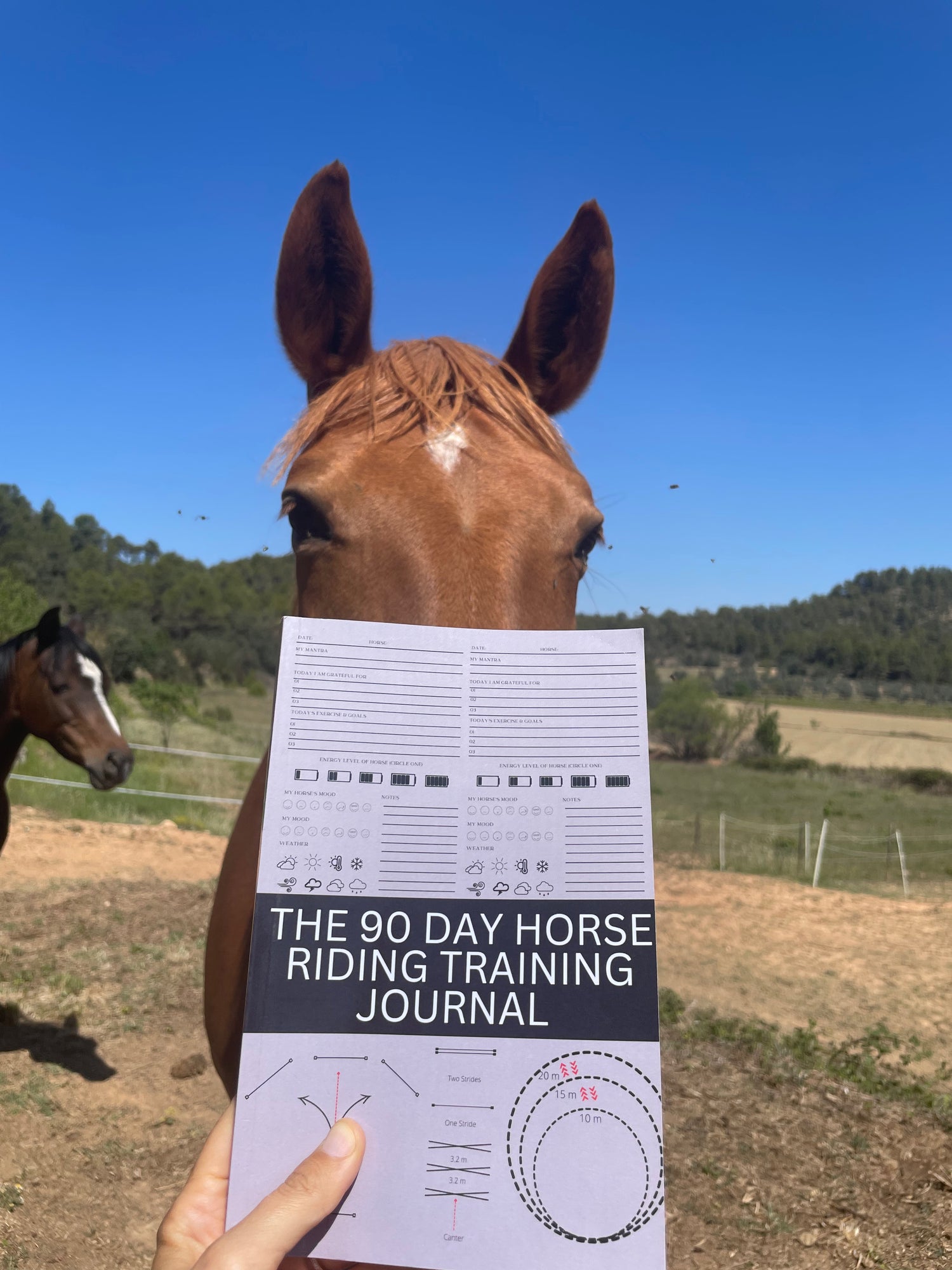 The 90 Day Horse Riding Training Journal Paperback