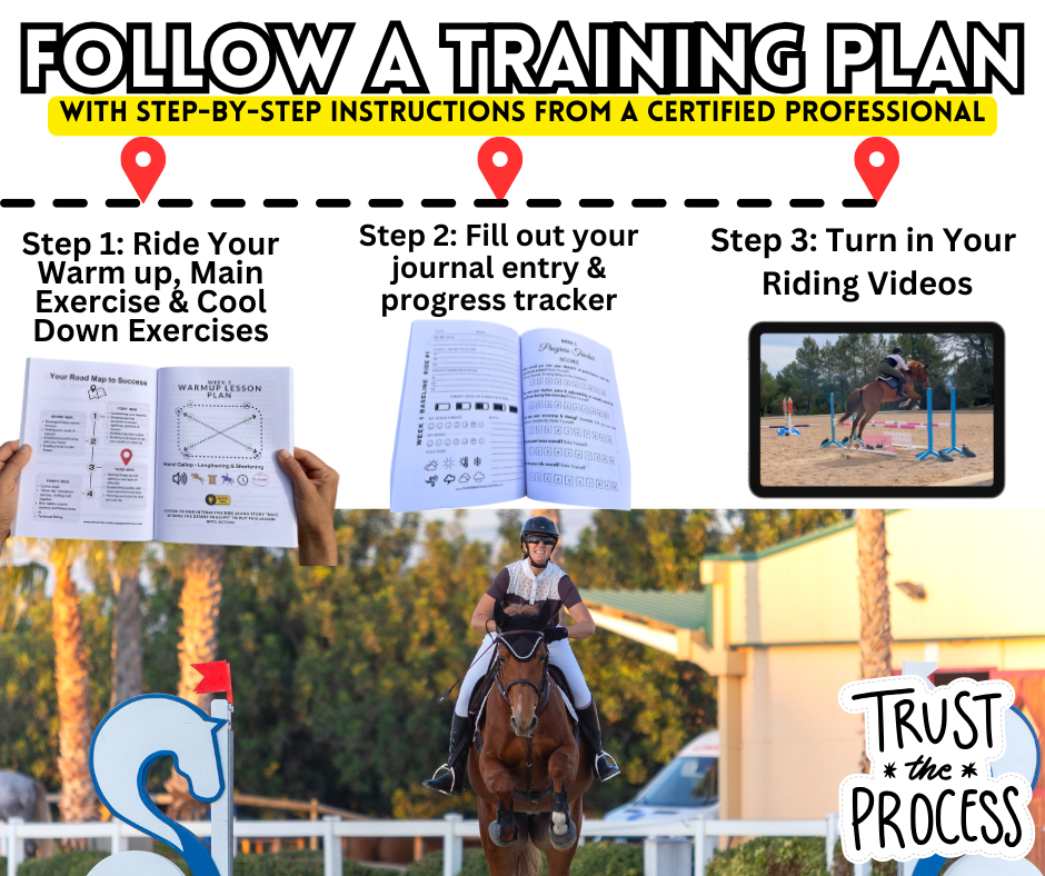 Step by step training llan from certified FEI coach Krystal Kelly