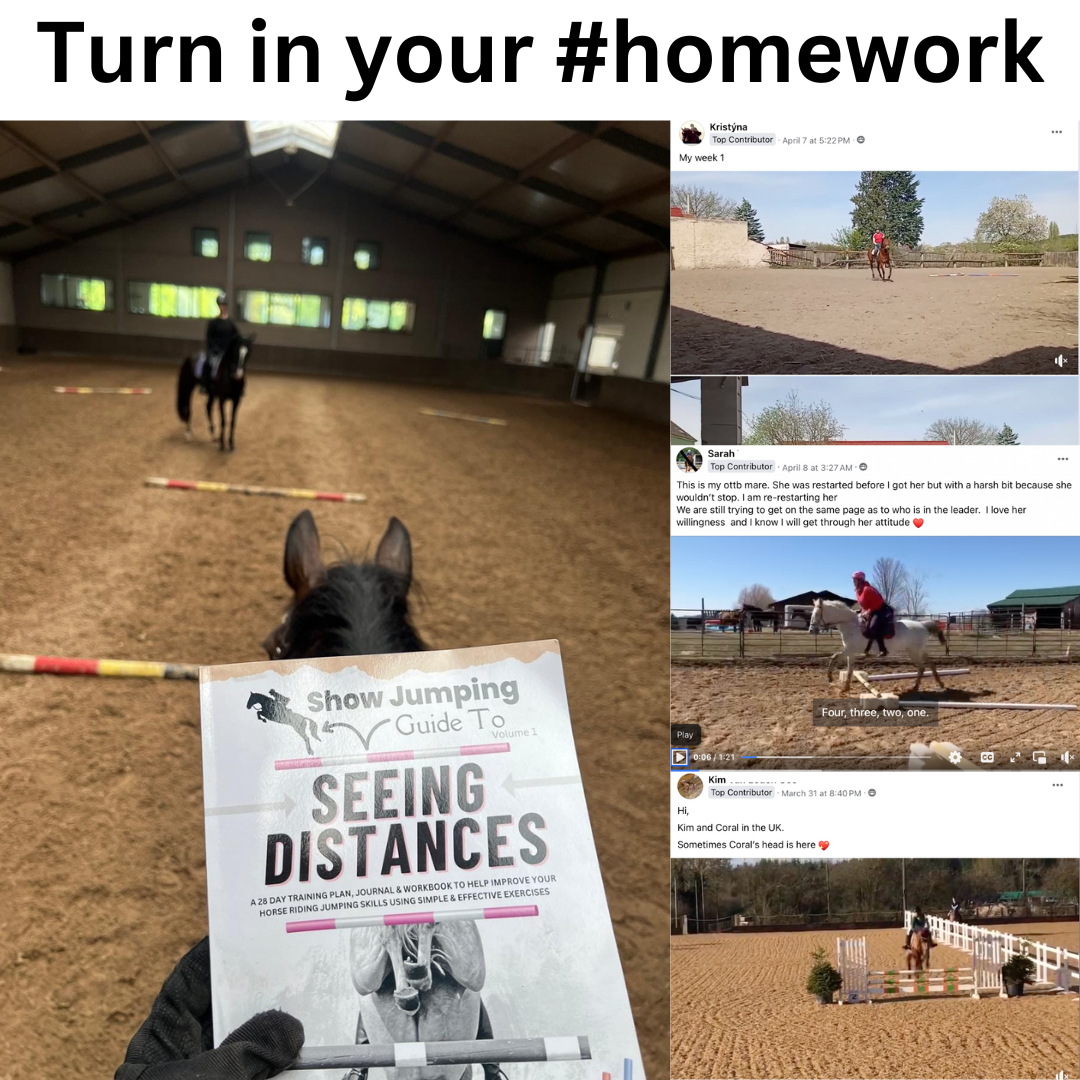 Show Jumping Guide to Seeing Distances