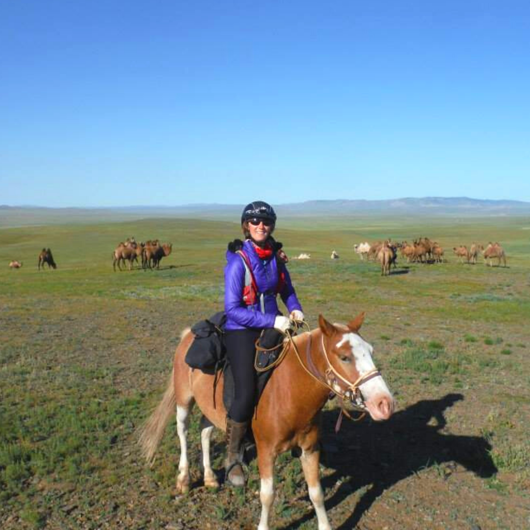 Equestrian Adventuresses 5 Book Collection (+ 4 audio books!)