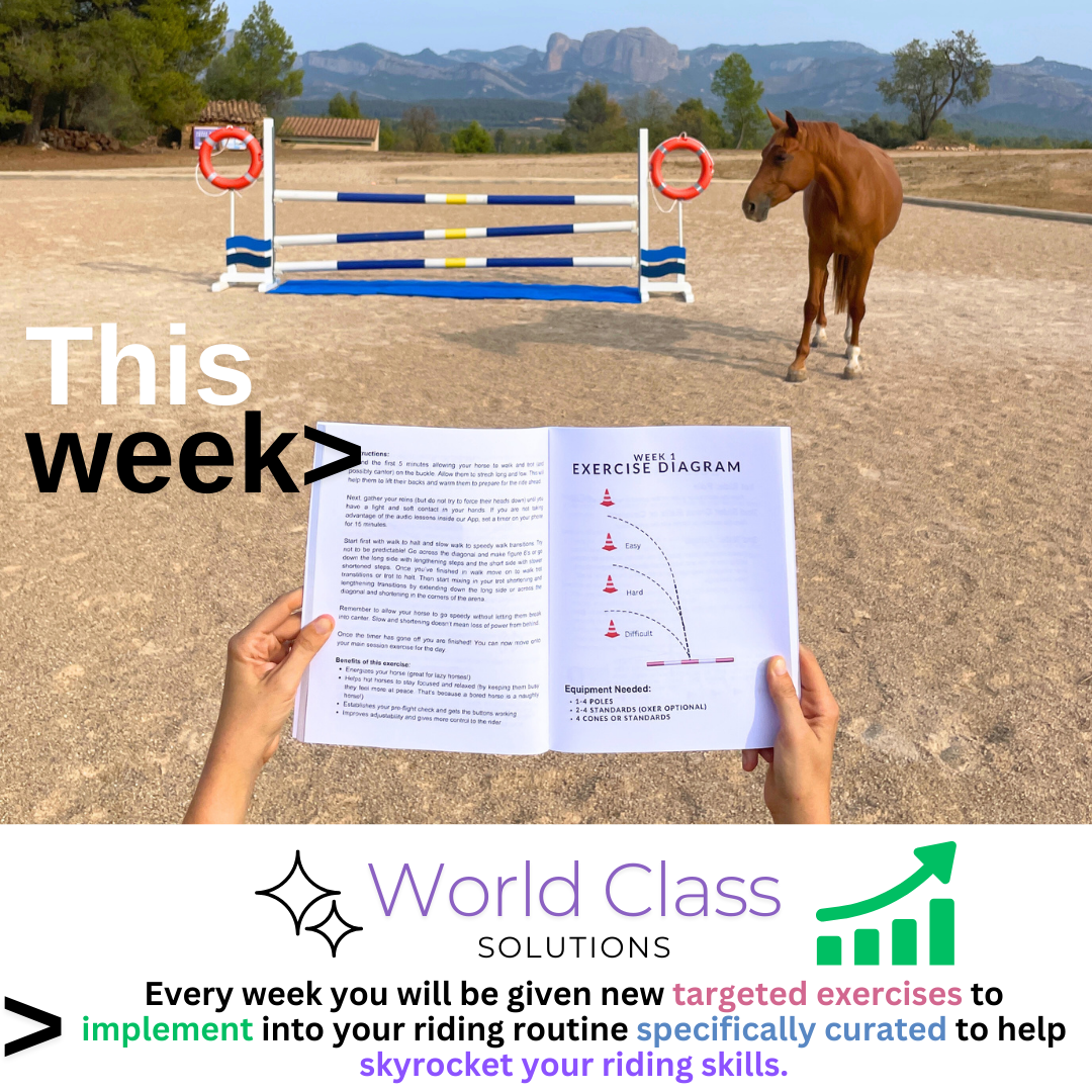 Weekly equestrian exercise guide showing a targeted training diagram and instructions