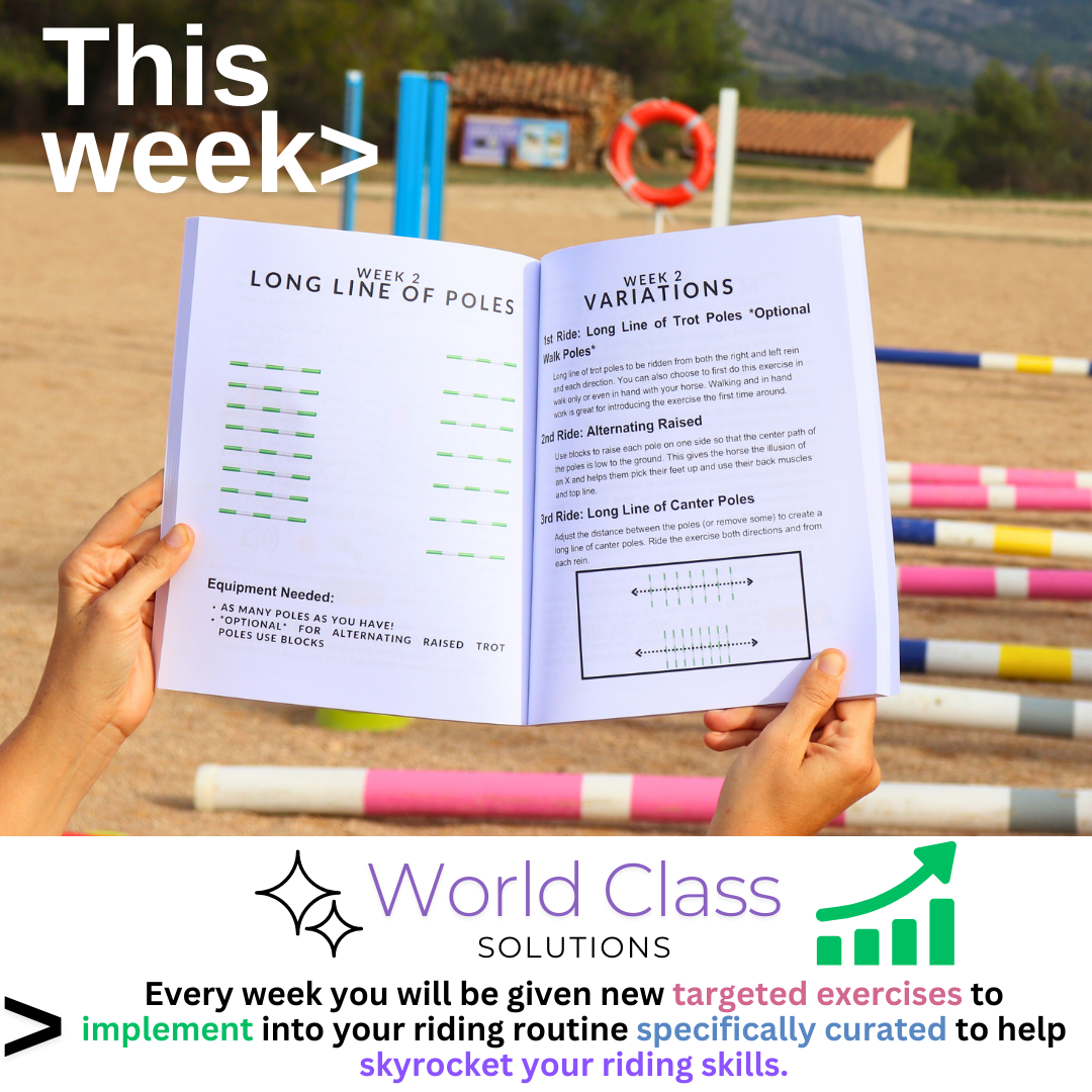 Weekly Targeted Exercises For Improving Horse Riding Skills