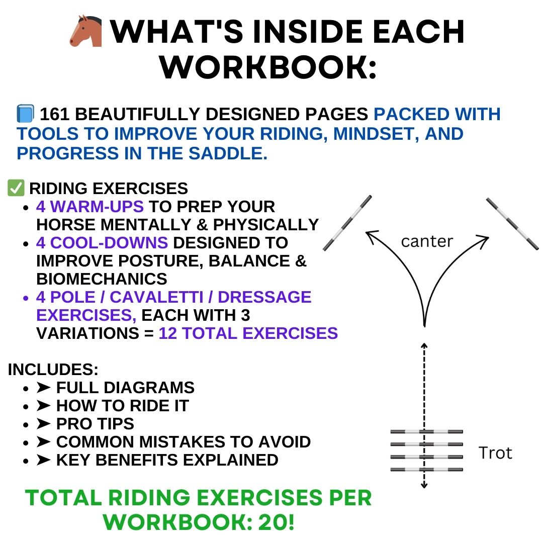 Dressage Guide to Rider Position (Vol. 4) – Coach Krystal Kelly Books