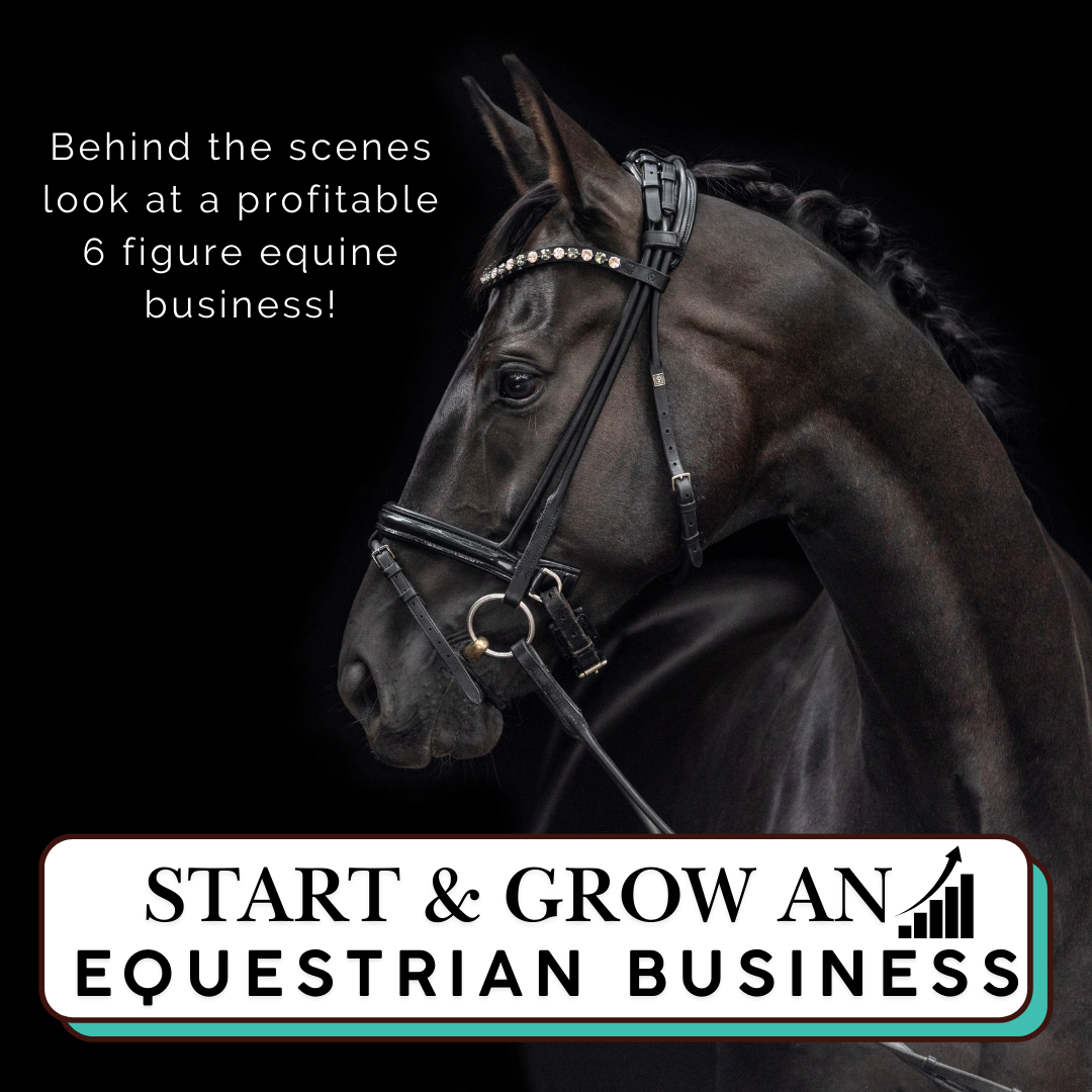 Ultimate Business Bundle for Equestrians (2 Books + Full Online Video Course)